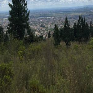 被黑人猛㮑女人
