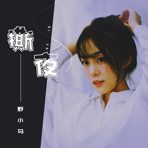 被黑人猛㮑女人
