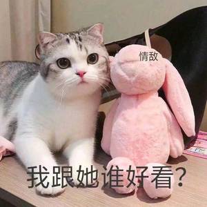 被黑人猛㮑女人
