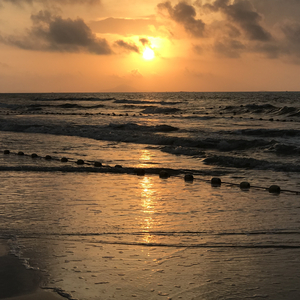 被黑人猛㮑女人
