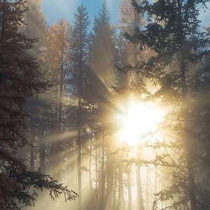 被黑人猛㮑女人
