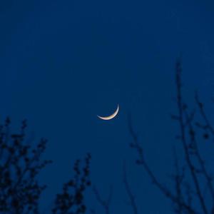 被黑人猛㮑女人
